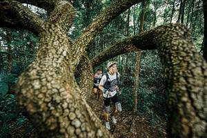 BIB: 
                            <button type="button" onclick="openModal(25393148)" class="btn btn-primary btn-sm float-right btn-popup" data-toggle="modal" data-target=".modal-high-quality">
                        <i class="fas fa-shopping-cart"></i> Add to Cart
                    </button>
                                            <button type="button" onclick="isThisMe(25393148, true)" class="btn btn-success btn-sm float-right btn-popup btn-isme hidden" data-toggle="tooltip" data-placement="bottom" title="นี่คือรูปของคุณใช่ไหม คลิกที่นี่เพื่อเอาเข้าอัลบั้ม">
                        <i class="fas fa-plus"></i> Add to album
                    </button>
                    <button type="button" onclick="isThisMe(25393148, false)" class="btn btn-warning btn-sm float-right btn-popup btn-isnotme hidden">
                        <i class="fas fa-ban"></i> Remove from album
                    </button>